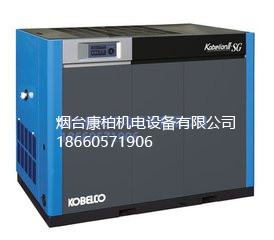 煙臺(tái)螺桿式無(wú)油空壓機(jī)